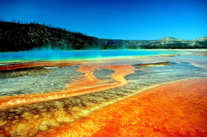 Adesivo omaggio Yellowstone