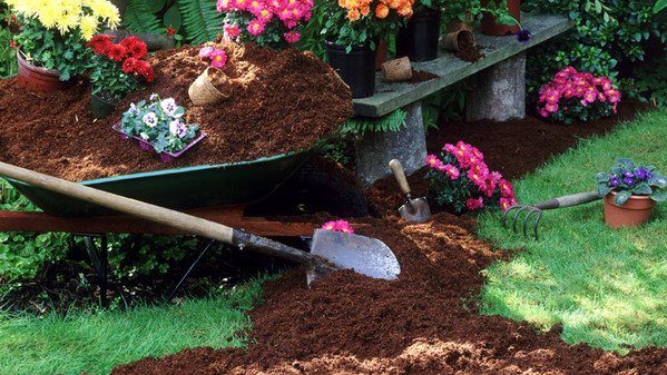 Gratis libro sul giardinaggio