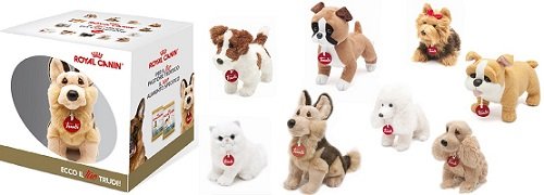 Grande Collection Royal Canin regala buoni e Trudy